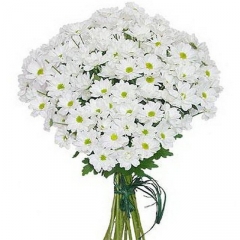 Купить букет цветов - Букет из 15 хризантем Букет Купить цветы в Красноярске. Магазин цветов с доставкой.