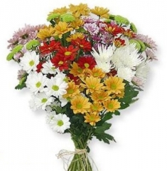 Купить букет цветов - Хризантема кустовая Букет Купить цветы в Красноярске. Магазин цветов с доставкой.